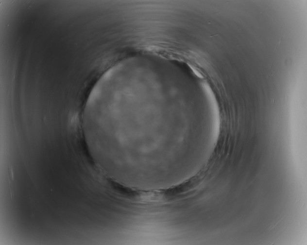 X0000088070415200706081713
