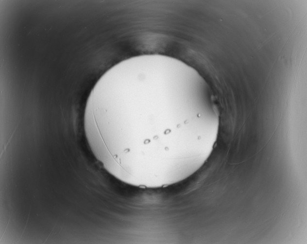 X0000088070416200706081713