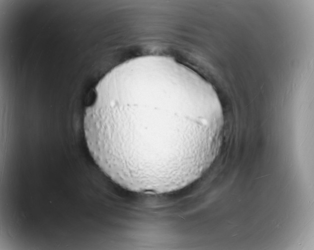 X0000088070417200706081713