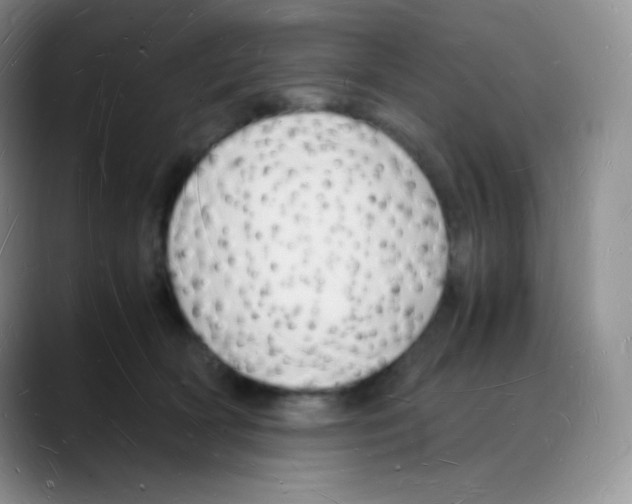 X0000088070418200706081713
