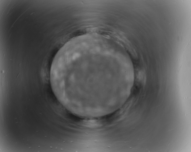 X0000088070419200706081713