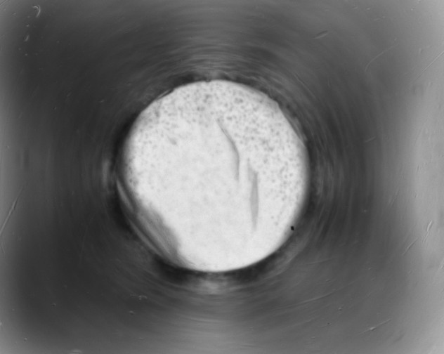 X0000088070420200706081713