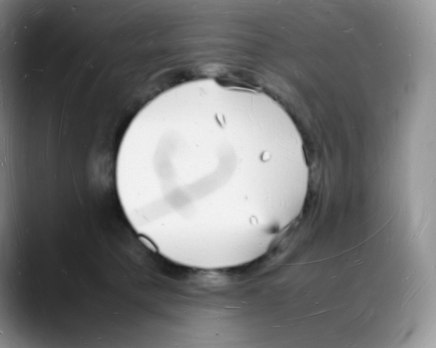 X0000088070421200706081713