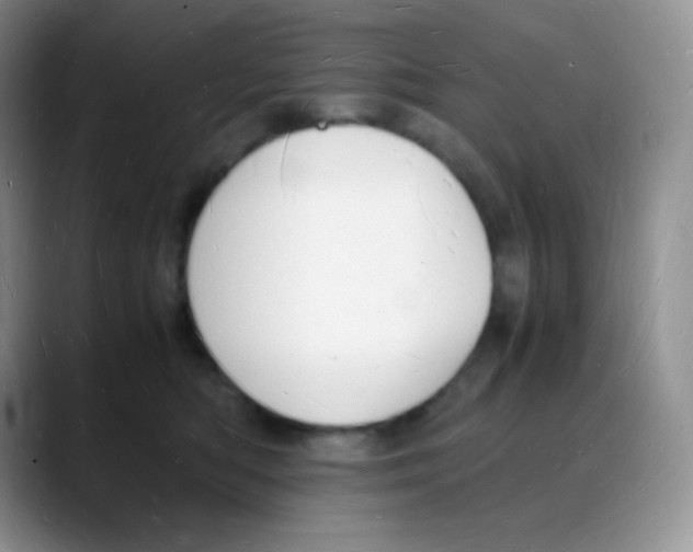 X0000088070422200706081713