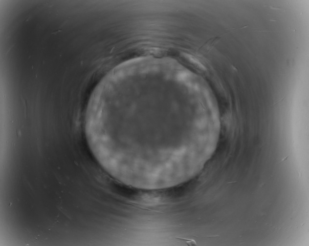 X0000088070423200706081713
