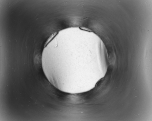X0000088070425200706081713