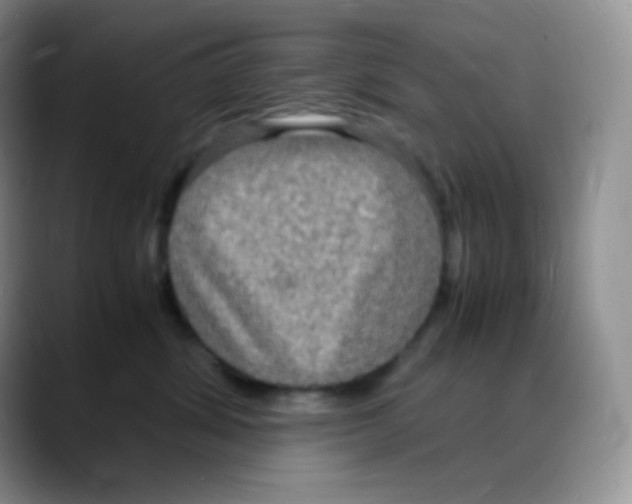 X0000088070428200706081713