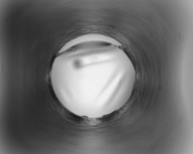 X0000088070429200706081713