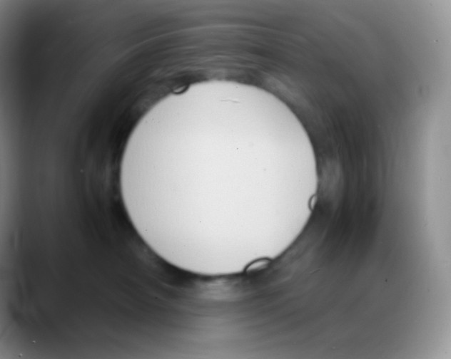 X0000088070430200706081713