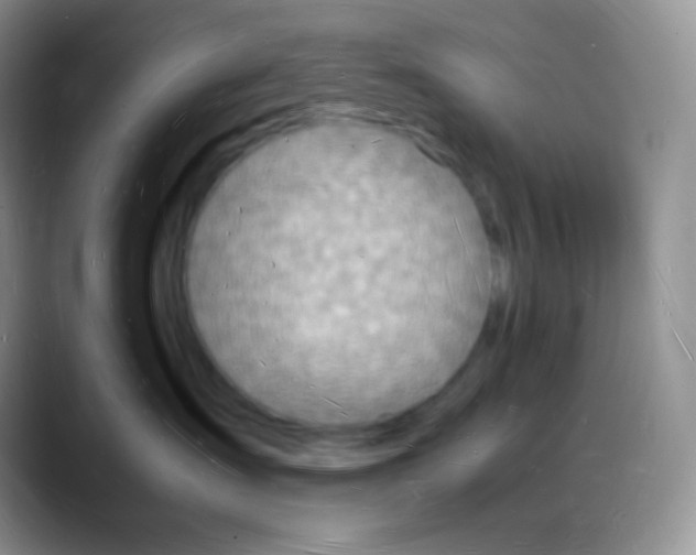 X0000088070431200706081713