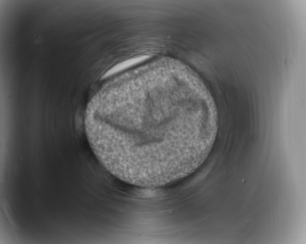 X0000088070432200706081713