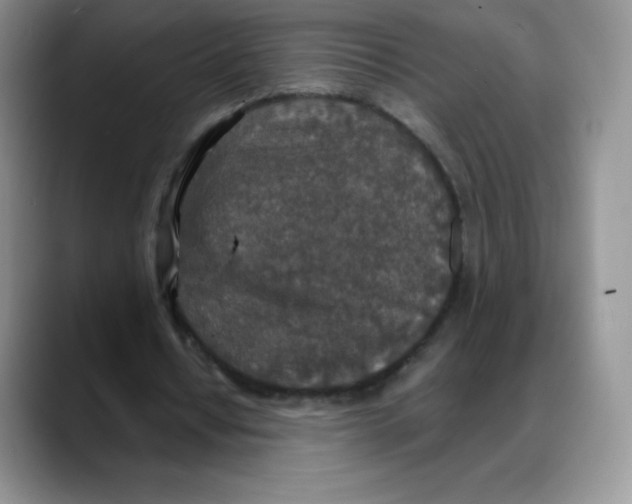X0000088070434200706081712