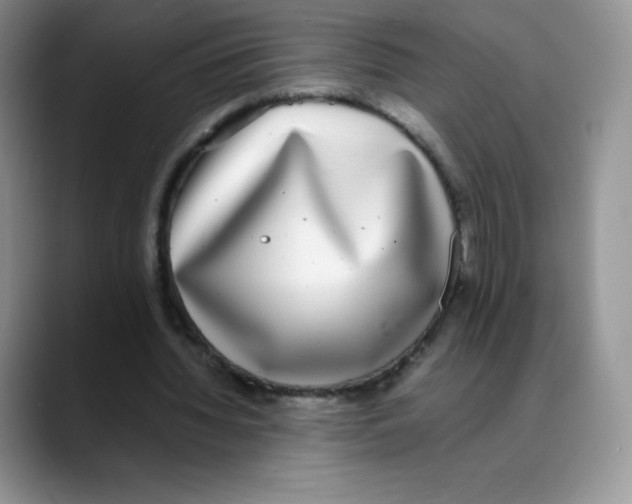 X0000088070436200706081713