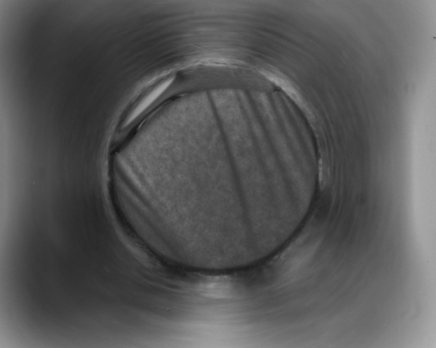 X0000088070438200706081713