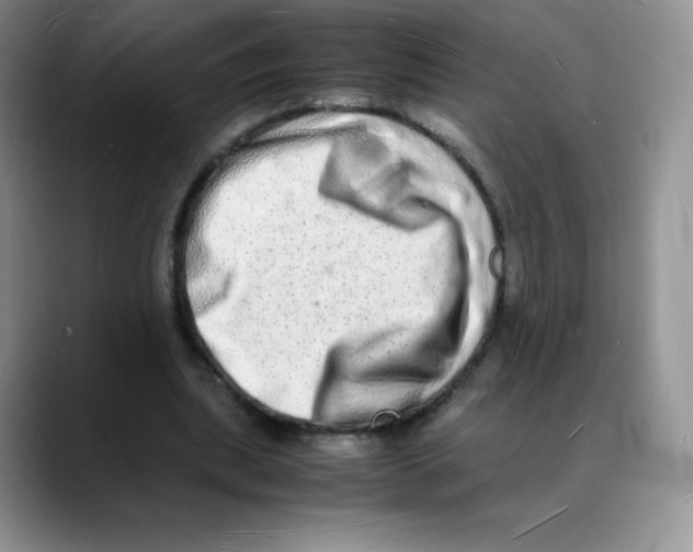 X0000088070439200706081713