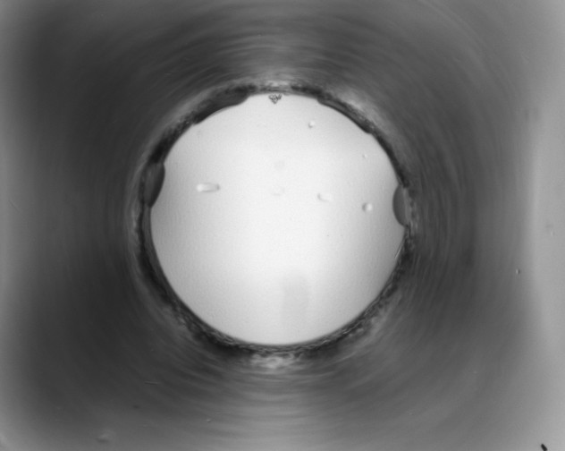 X0000088070440200706081713