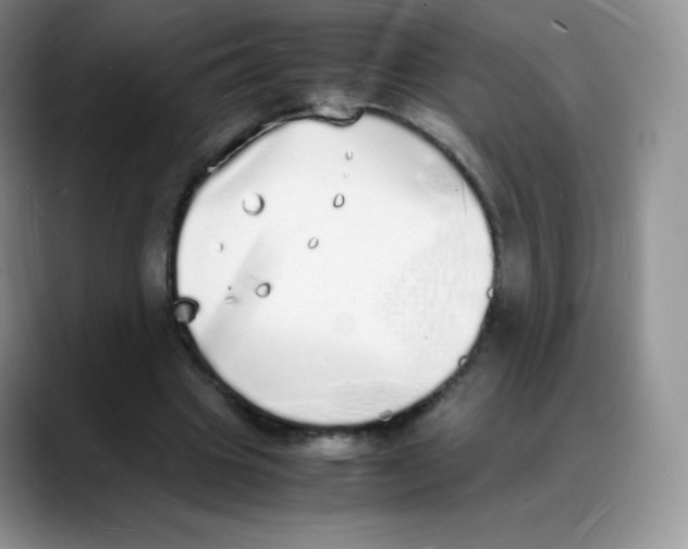 X0000088070441200706081713