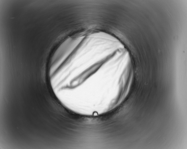 X0000088070442200706081713
