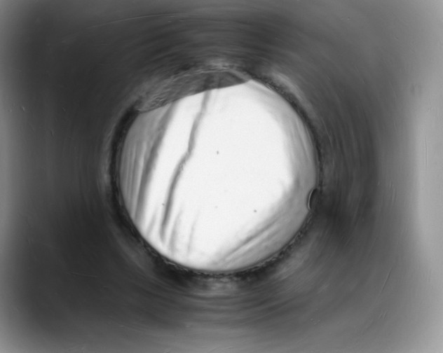 X0000088070443200706081713