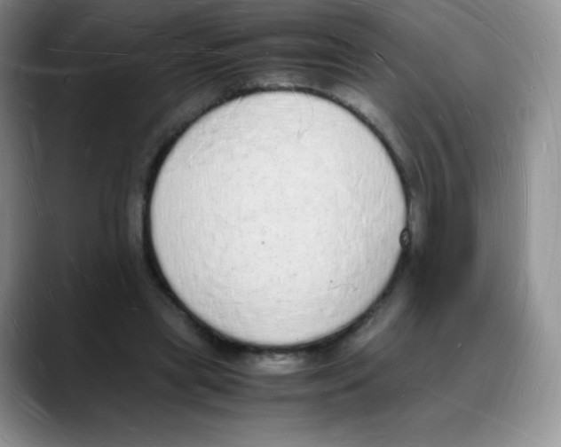 X0000088070445200706081713