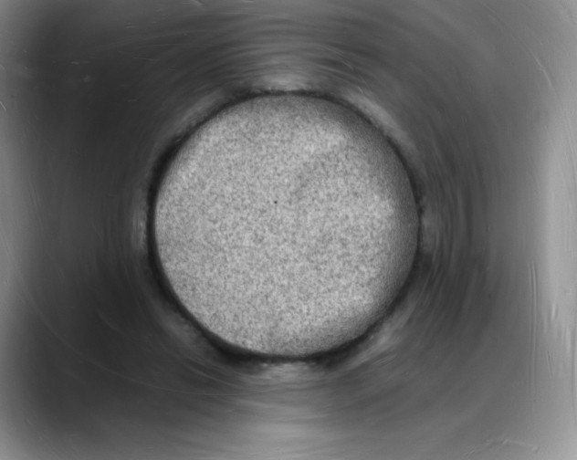 X0000088070446200706081713