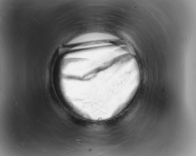 X0000088070447200706081713