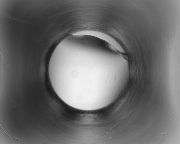 X0000088070448200706081713
