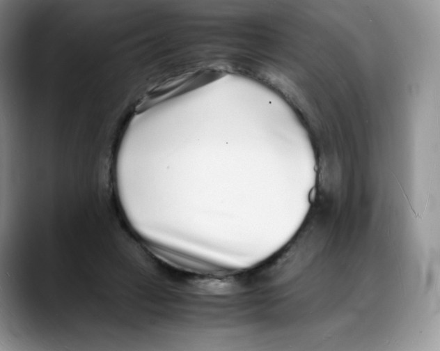 X0000088070449200706081713
