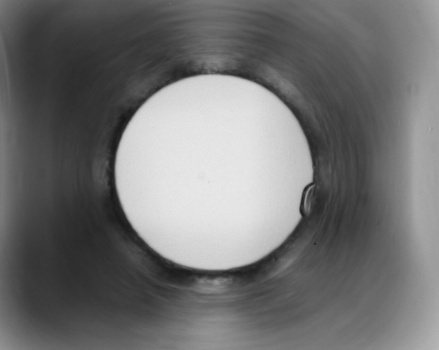 X0000088070450200706081713