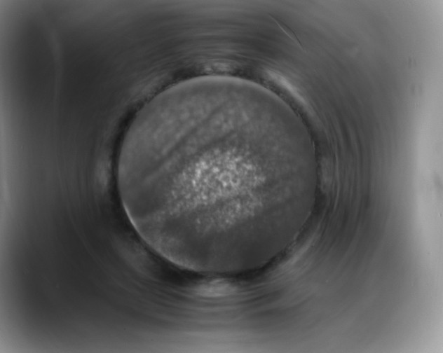 X0000088070451200706081713