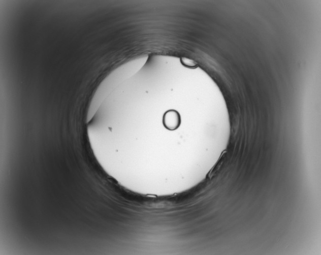 X0000088070452200706081713