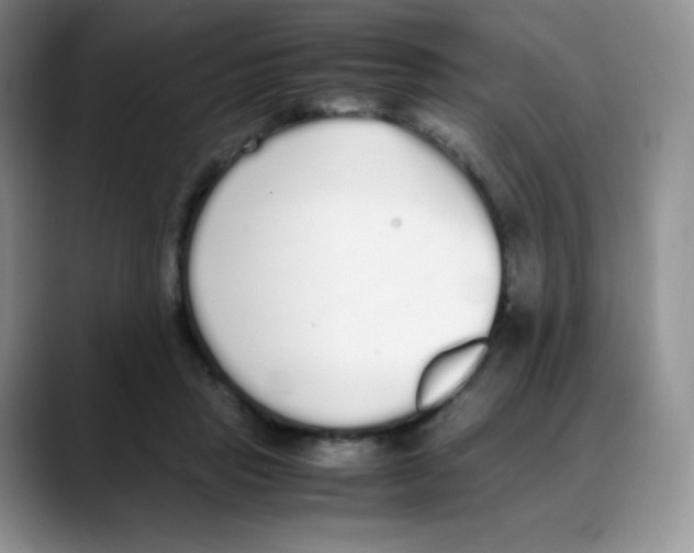 X0000088070453200706081713