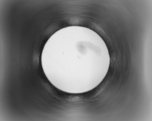 X0000088070454200706081713