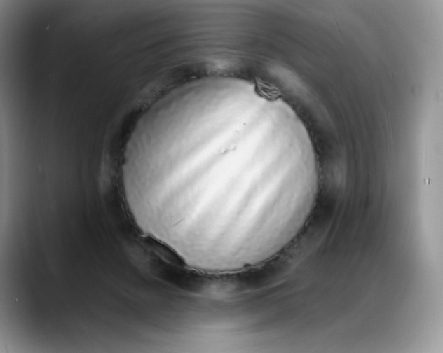 X0000088070456200706081713