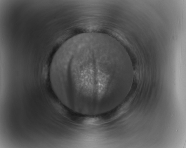 X0000088070458200706081713