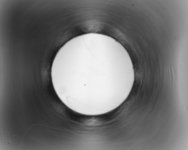 X0000088070460200706081713