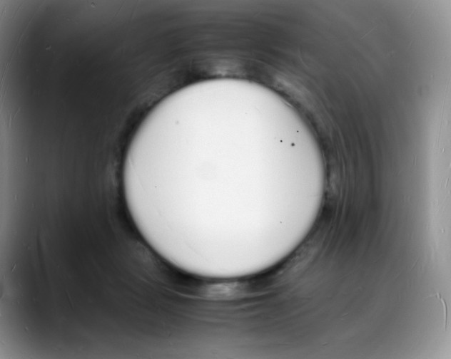 X0000088070461200706081713
