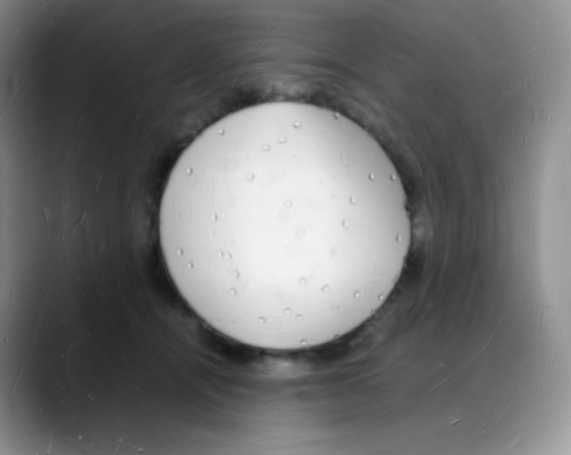 X0000088070464200706081713