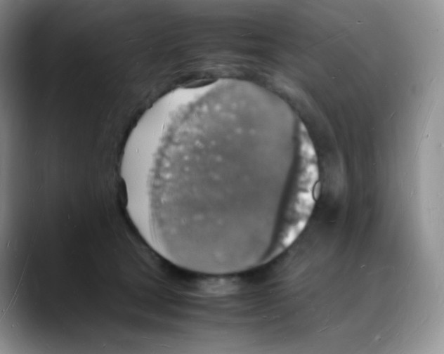 X0000088070465200706081713