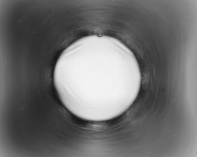 X0000088070466200706081713