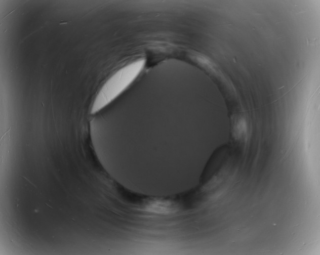 X0000088070471200706081713