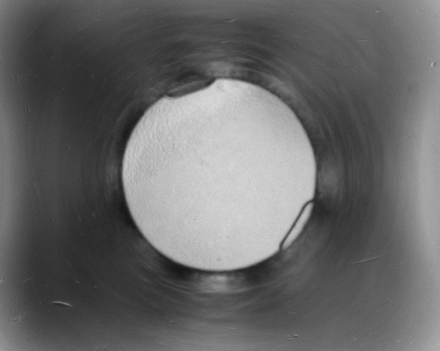 X0000088070473200706081713