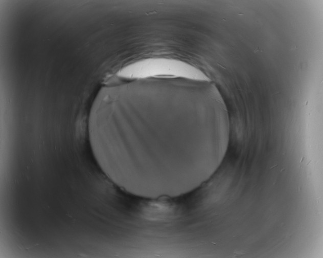 X0000088070475200706081713