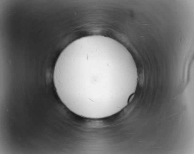 X0000088070476200706081713