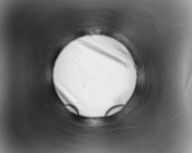 X0000088070477200706081713