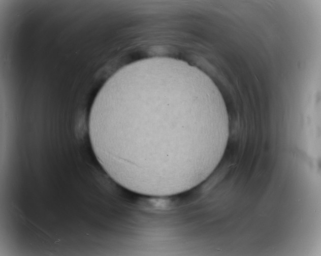 X0000088070478200706081713