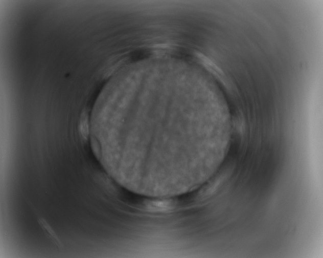 X0000088070479200706081713