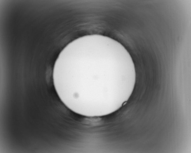X0000088070480200706081713