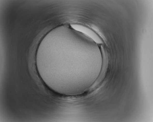X0000088070481200706081712