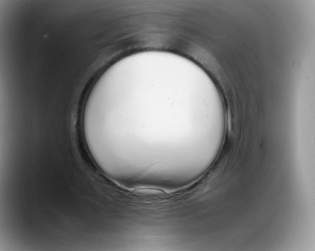 X0000088070483200706081712